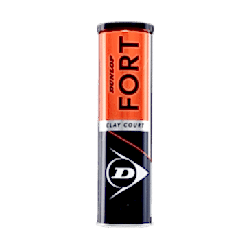 Dunlop Fort Clay Court